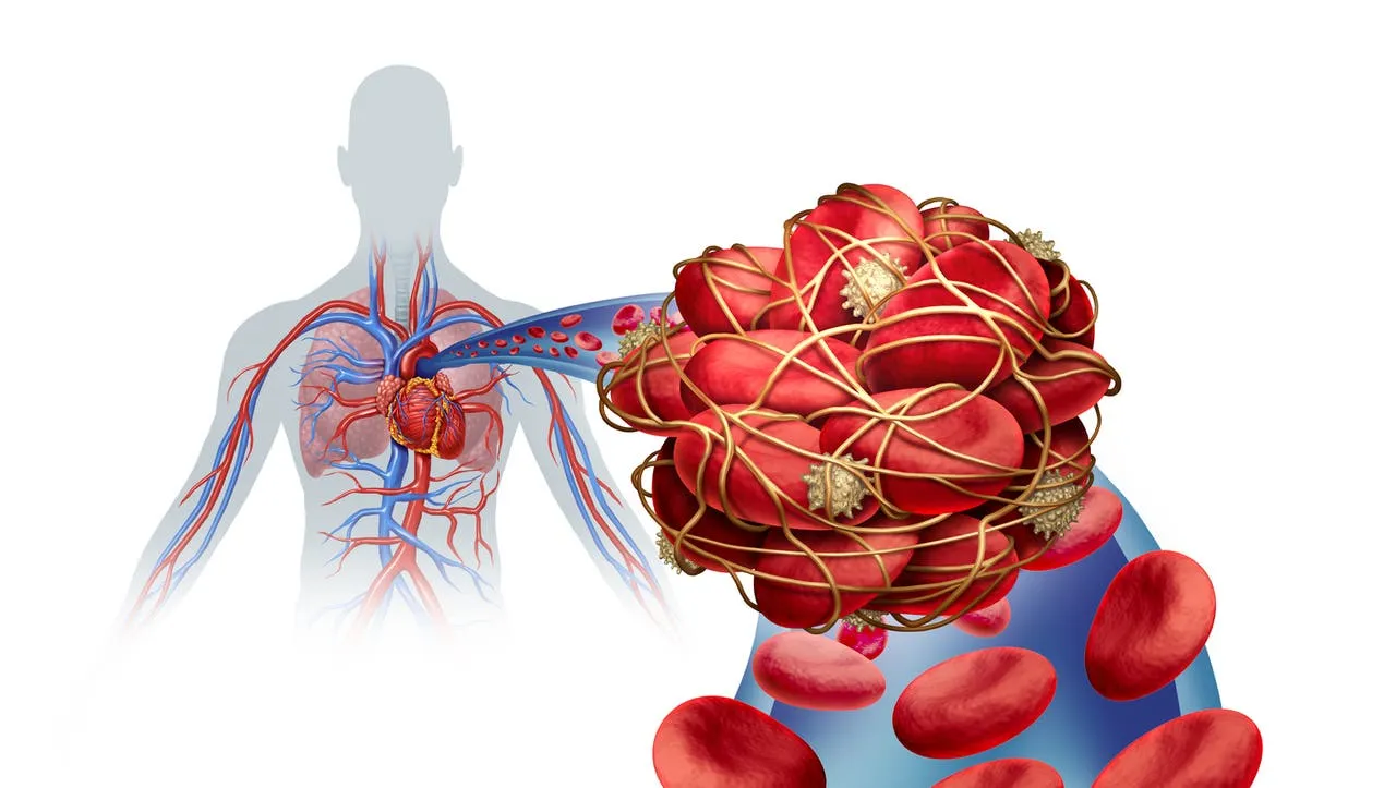 How to Improve Blood Circulation in the Elderly- home care assistance